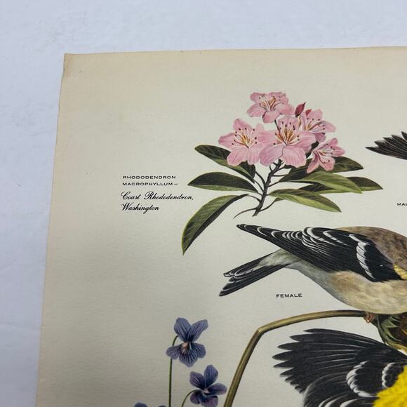 Vintage MCM Arthur Singer Series of Paintings American Home Magazine #'s 1,2,&6 - Picture 13 of 16